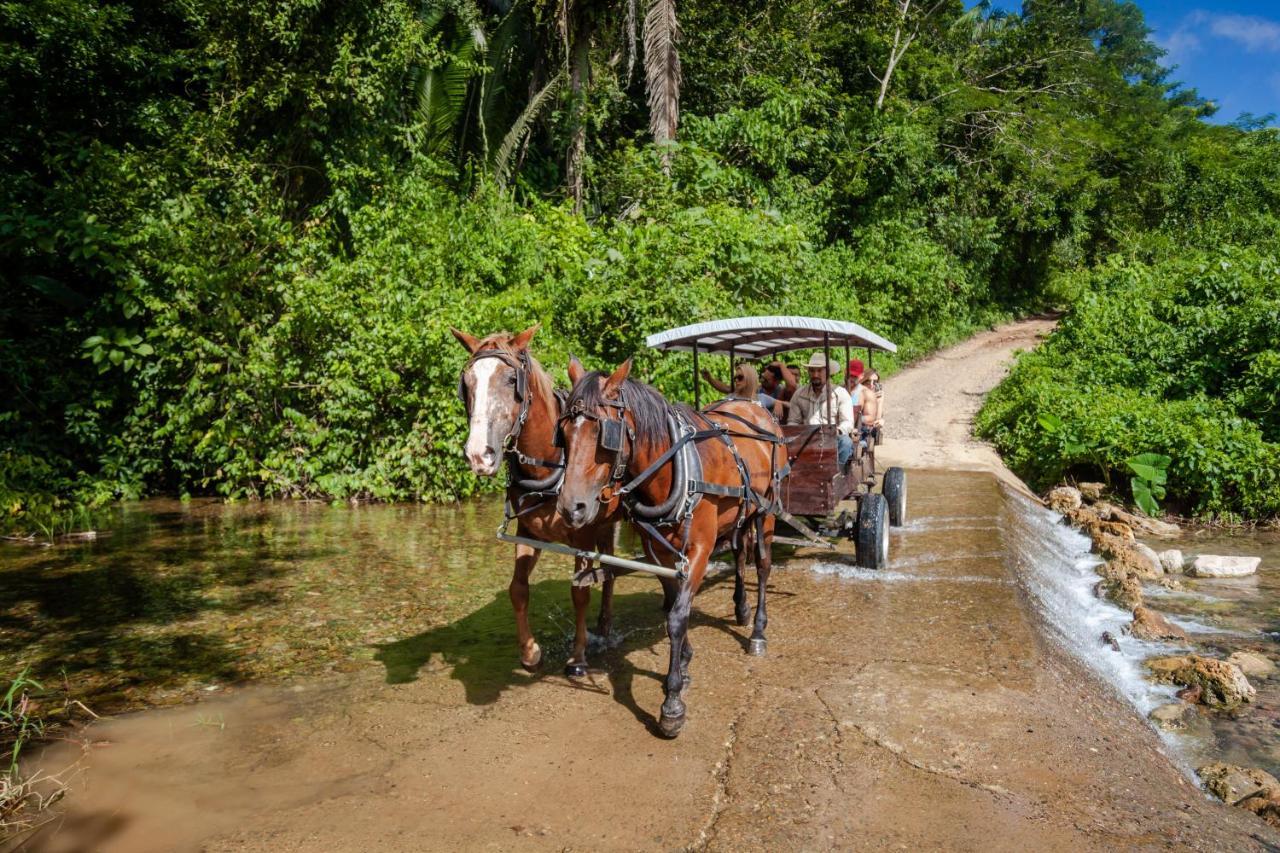 Sleeping Giant Rainforest Lodge Belmopan Exterior foto